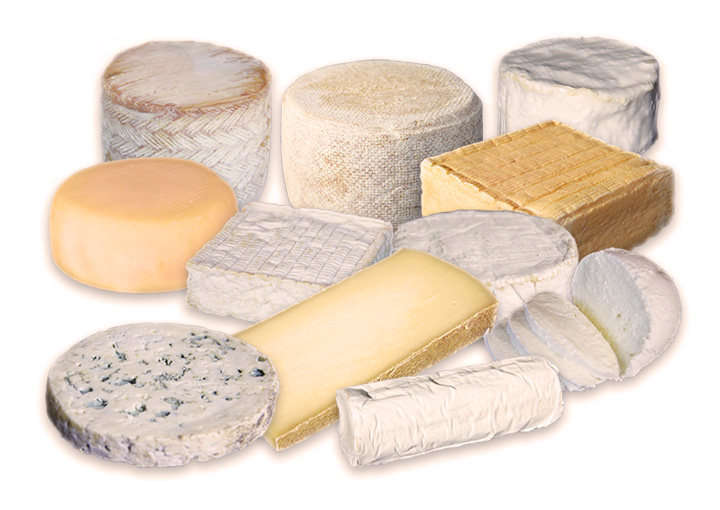 traitement air industrie fromagere