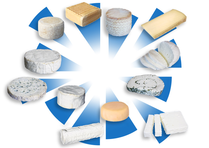 industria do queijo