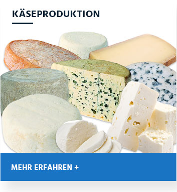 Käseproduktion 