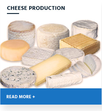 Cheese production 