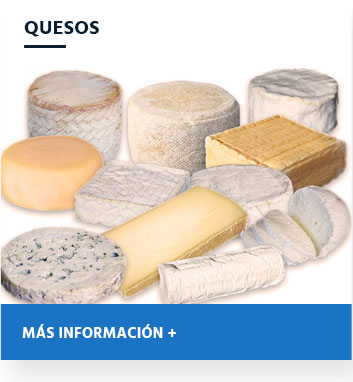 Quesos 